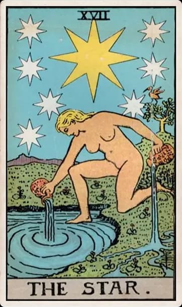 The Star 
