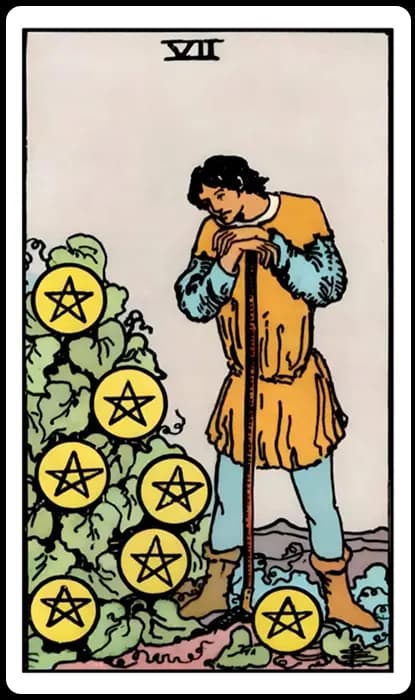 Seven of Pentacles 