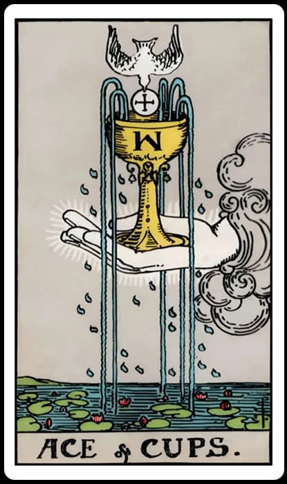 Ace of Cups 