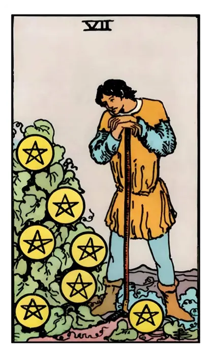 Seven of Pentacles